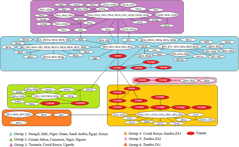 Fig. 3