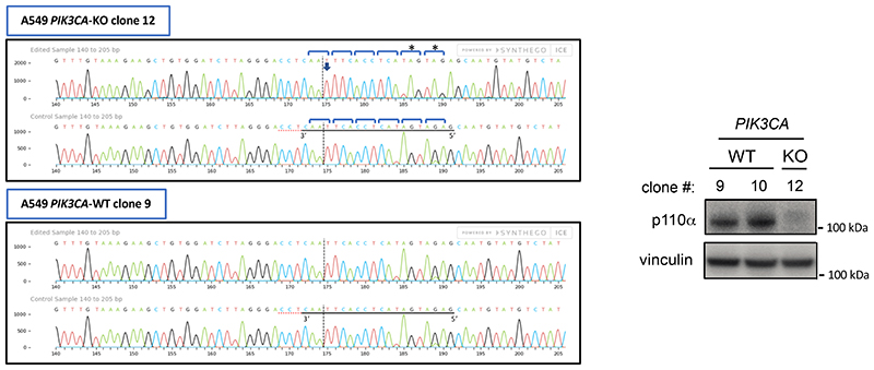 Extended Data Fig. 10