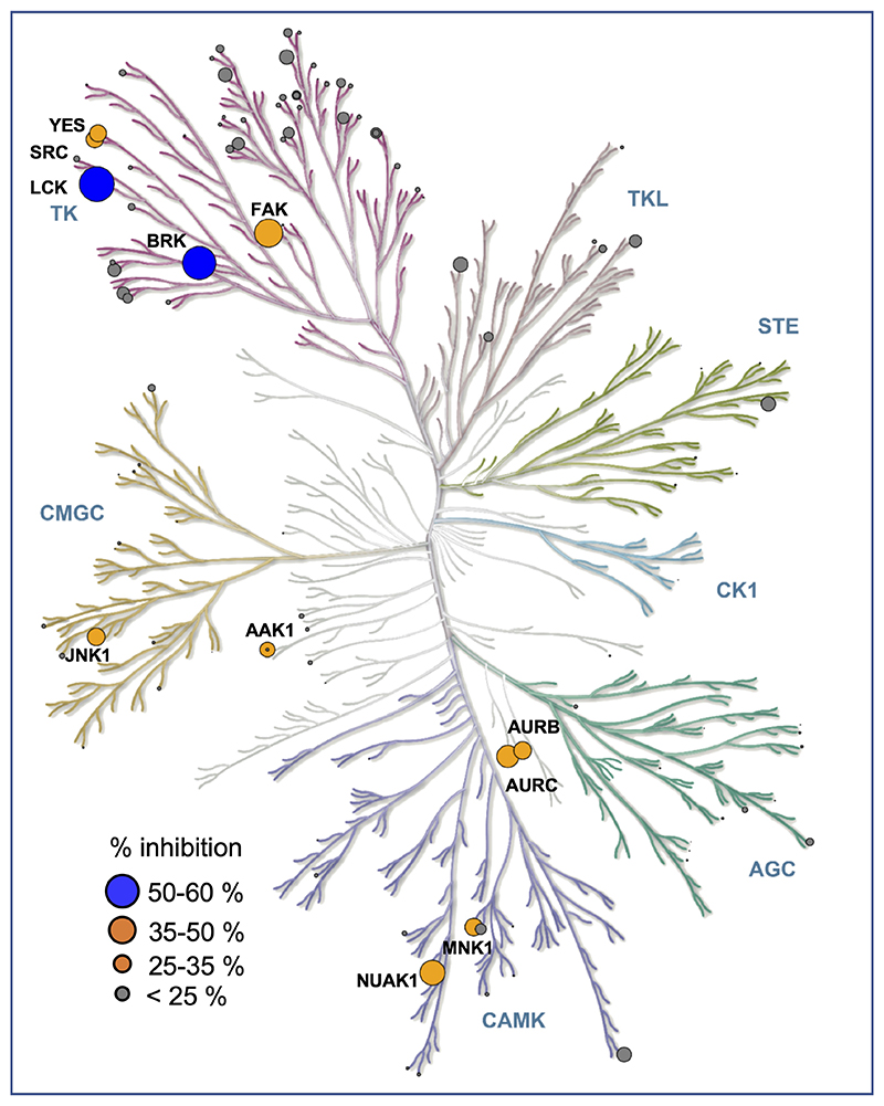 Extended data Fig. 5