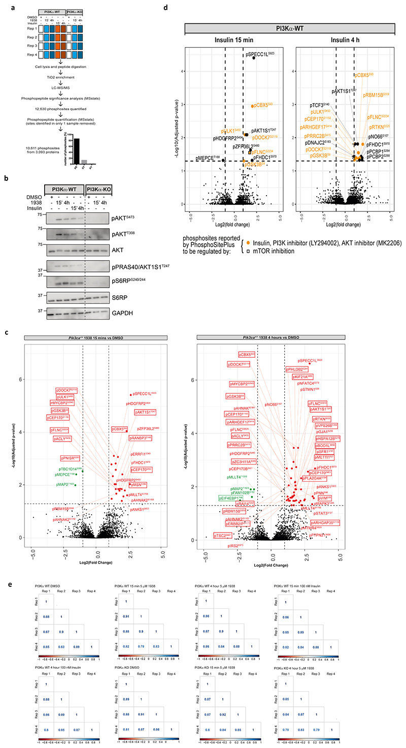 Extended Data Fig. 7