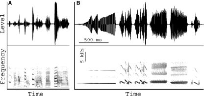 Fig. 10