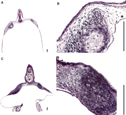 Fig. 9