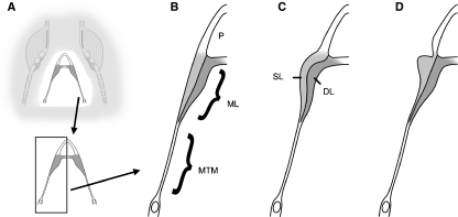 Fig. 11