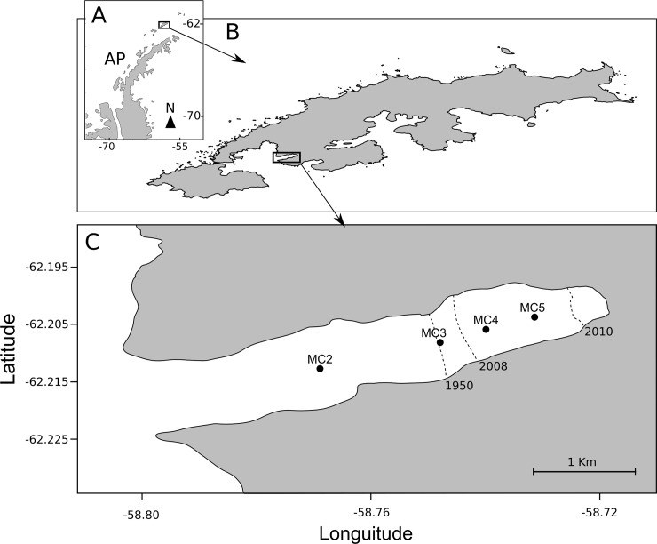 Fig 1