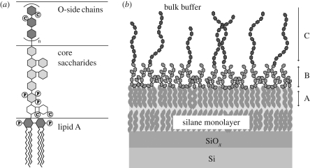 Figure 1.