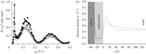 Figure 3.