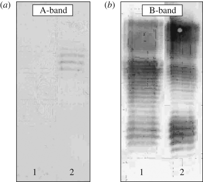 Figure 2.