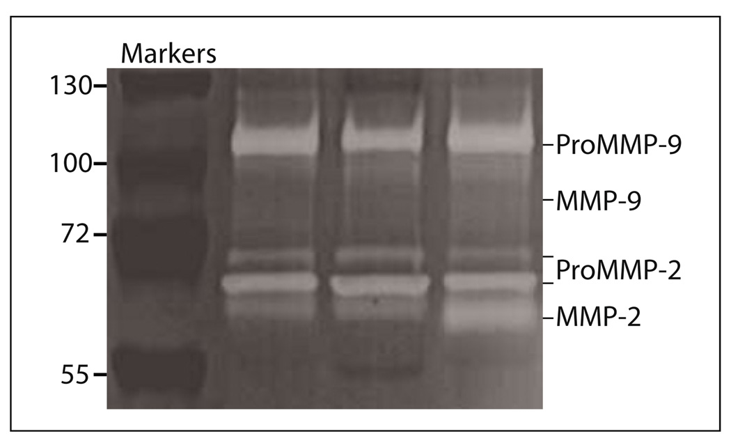 Fig. 5