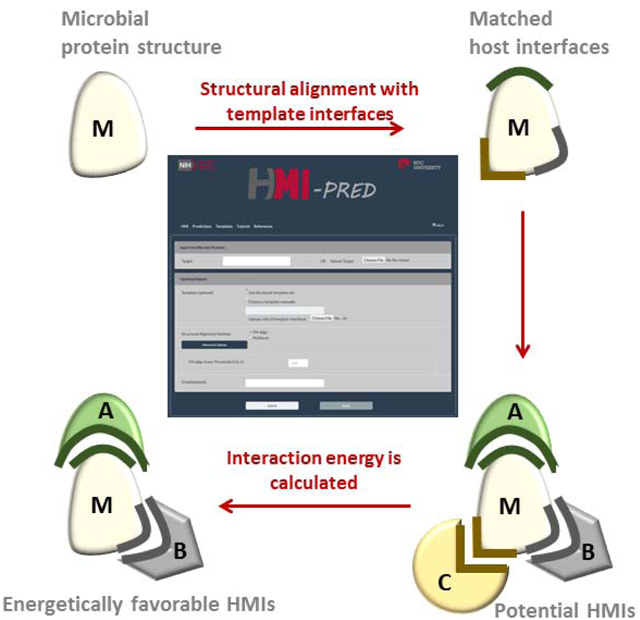 graphic file with name nihms-1568167-f0001.jpg