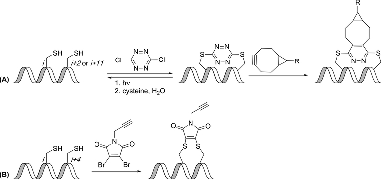 Figure 9.