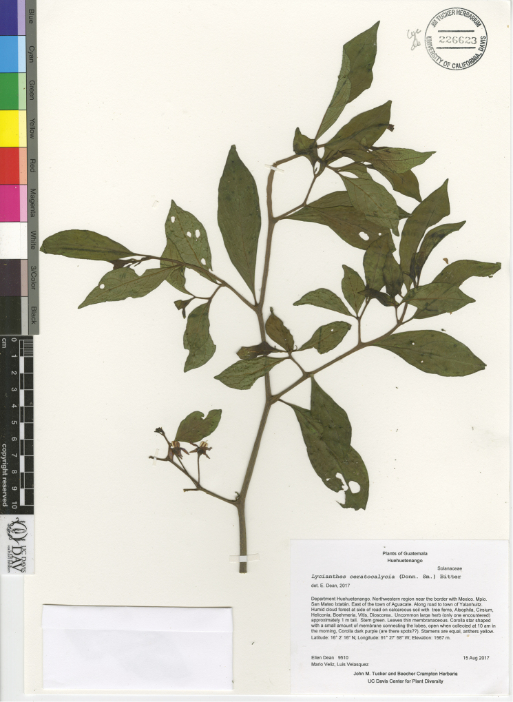 Figure 22.