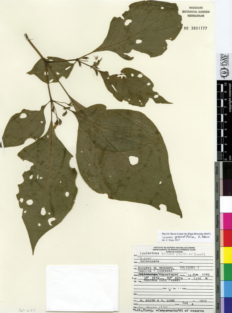 Figure 46.