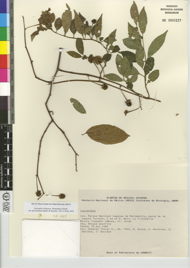 Figure 26.