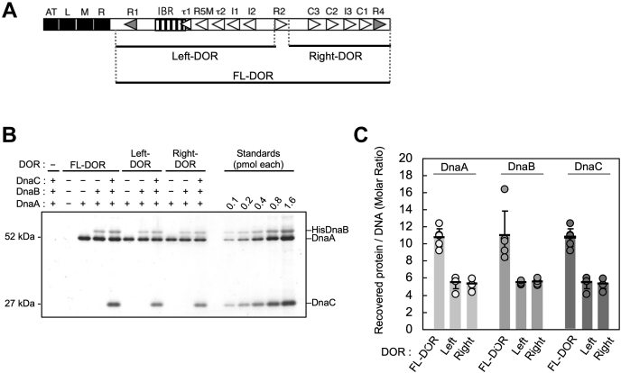 Figure 5