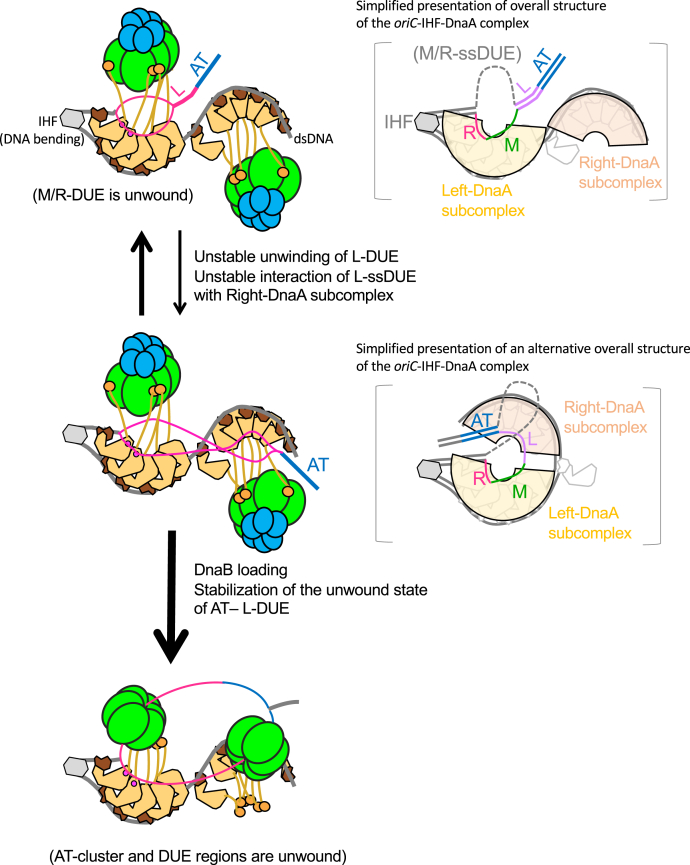 Figure 9