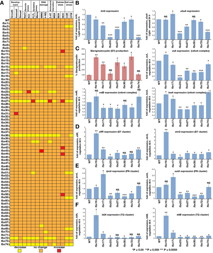 Fig 3