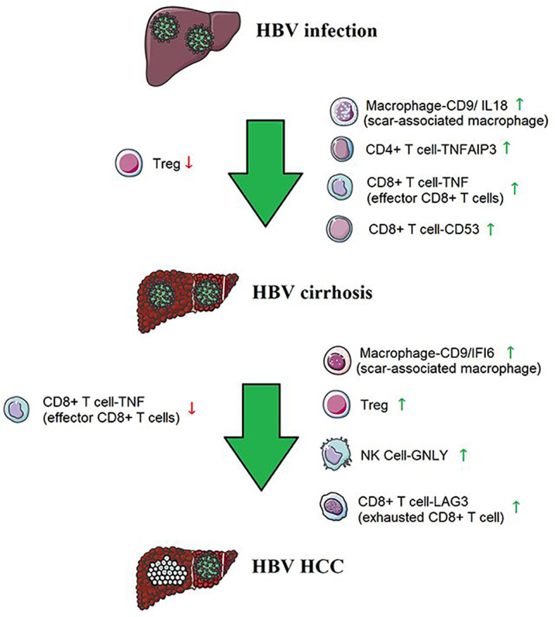 Figure 7