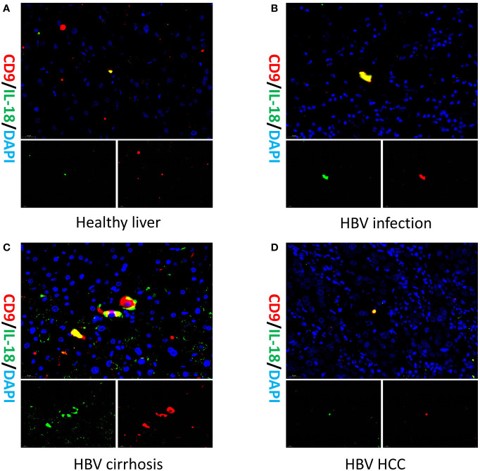 Figure 4