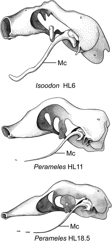 Fig. 22