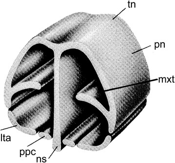 Fig. 19