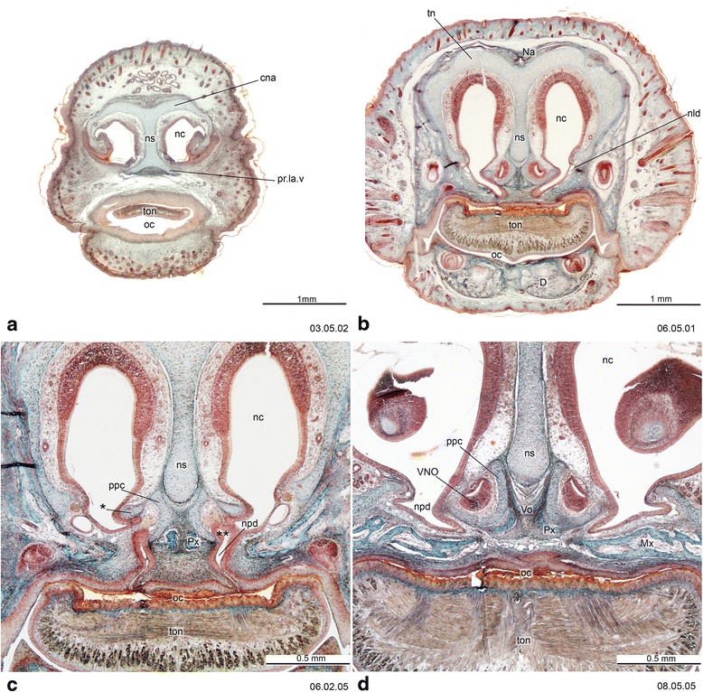 Fig. 2