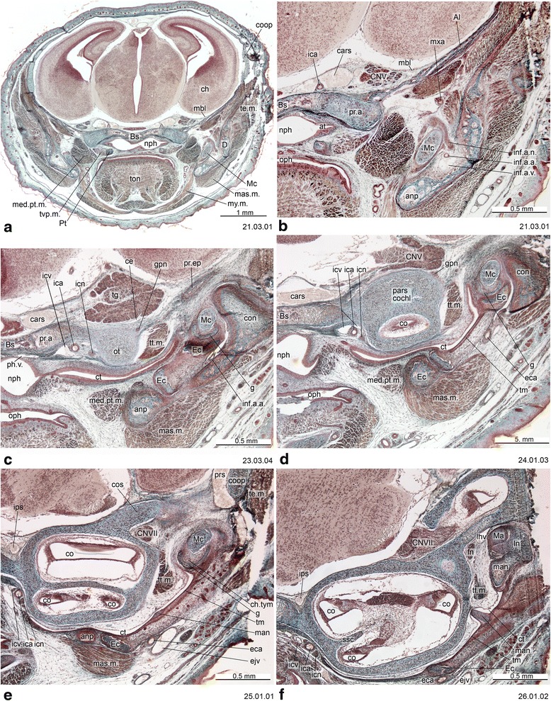 Fig. 4