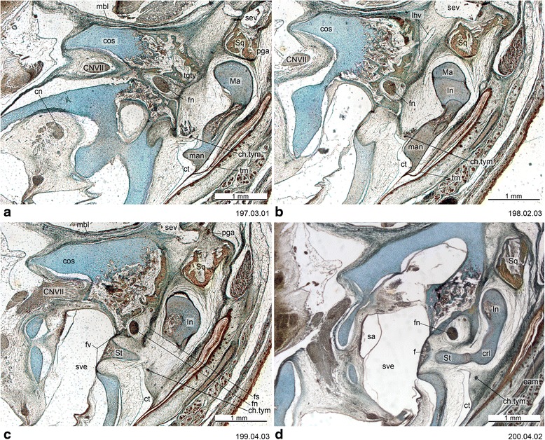 Fig. 14