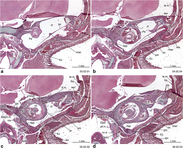 Fig. 8