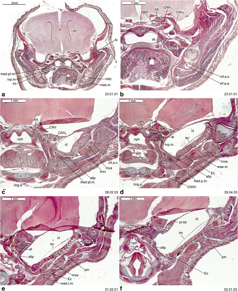 Fig. 6