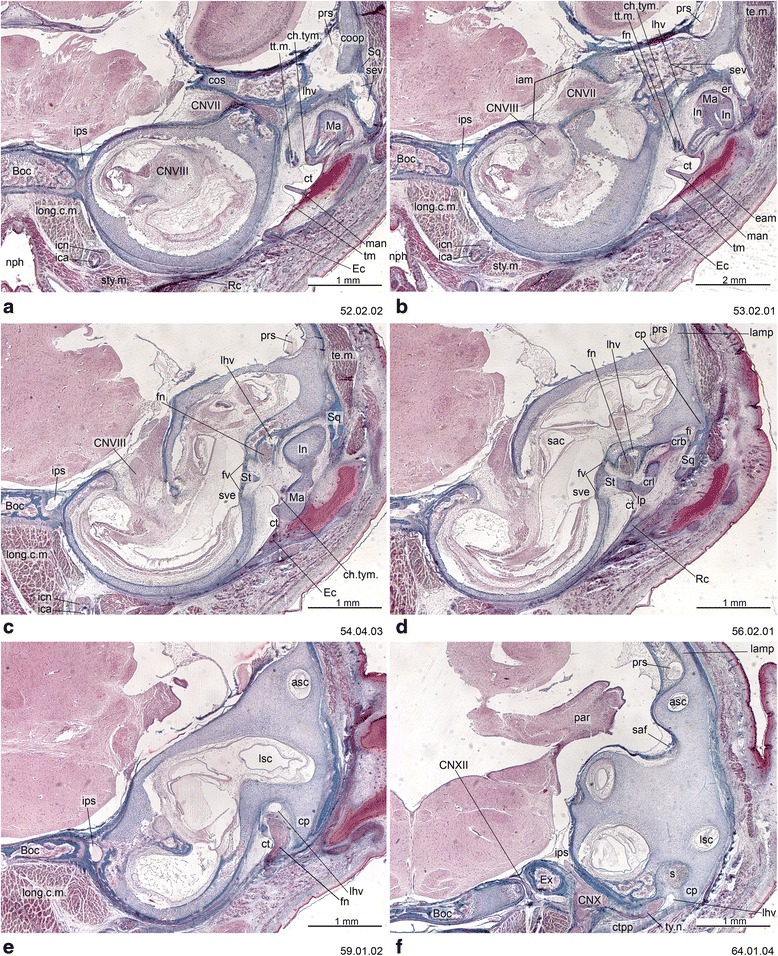 Fig. 12