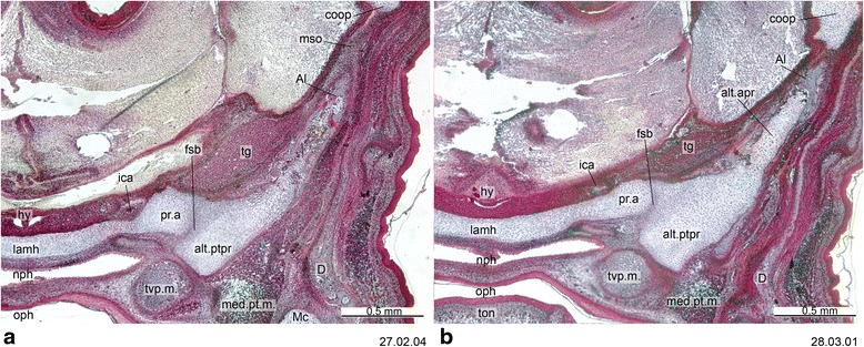 Fig. 16