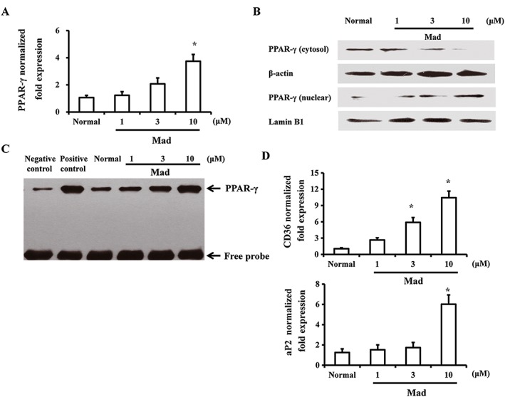 Figure 5