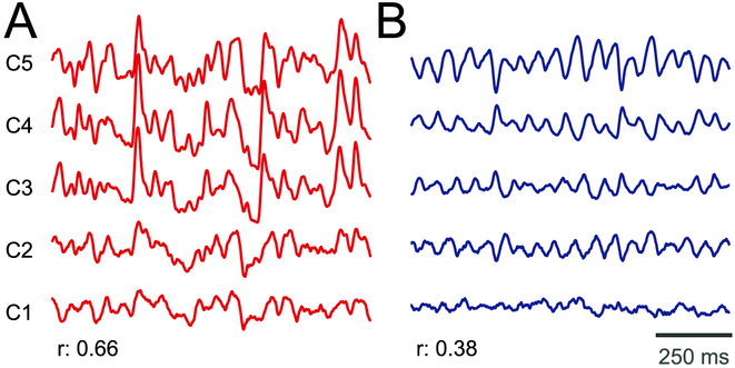 Fig. 3.