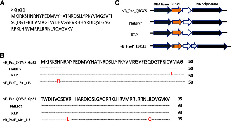 FIG 2