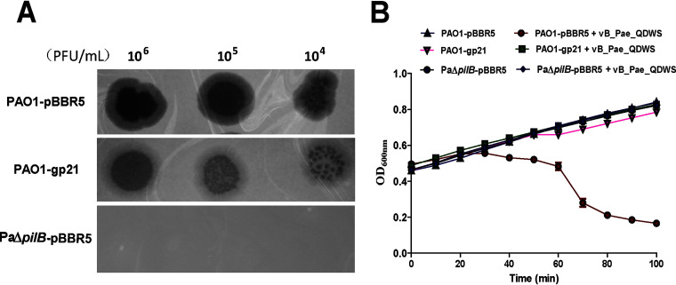 FIG 6