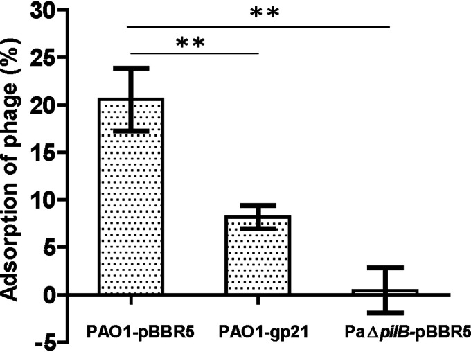 FIG 7