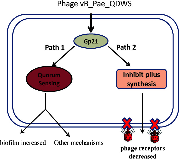 FIG 9