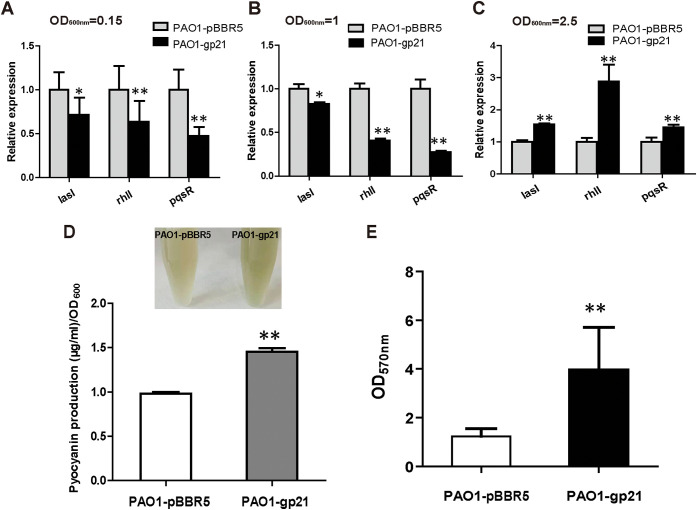 FIG 3