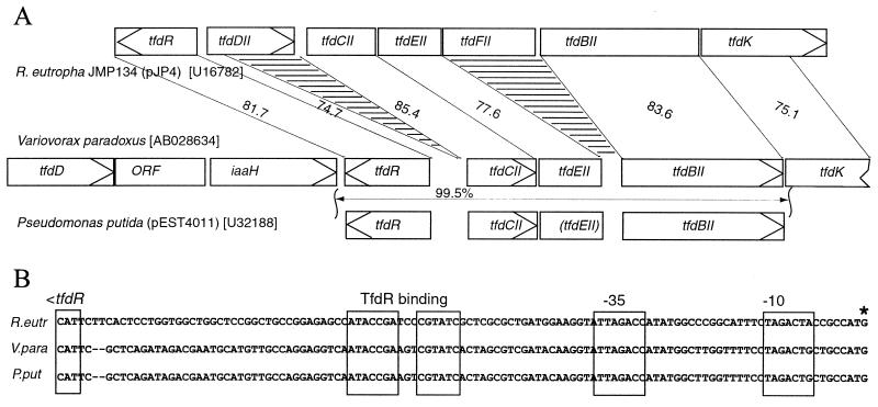 FIG. 6