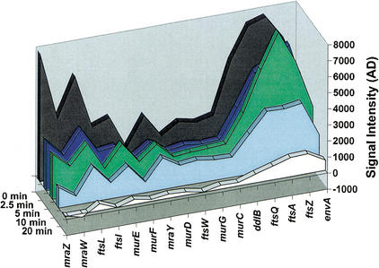 Figure 4.