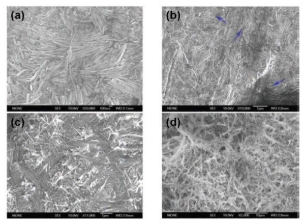 Figure 10.