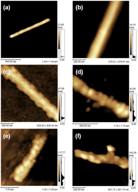 Figure 16.