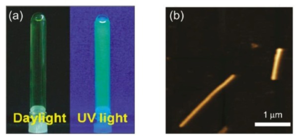 Figure 12.