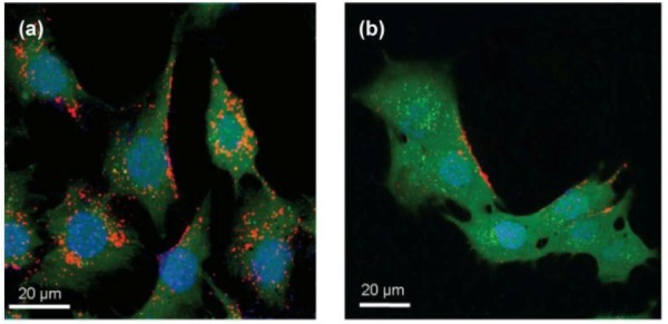 Figure 19.