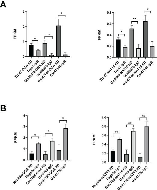 Figure 7