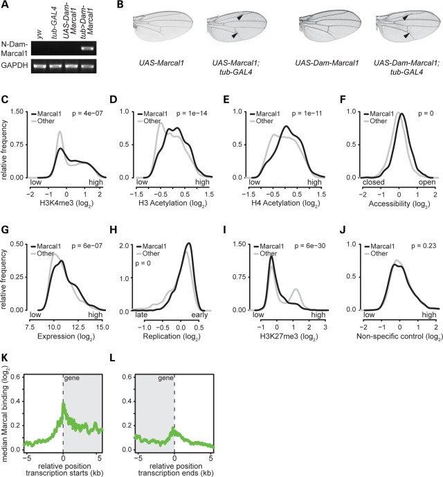 Figure 2.