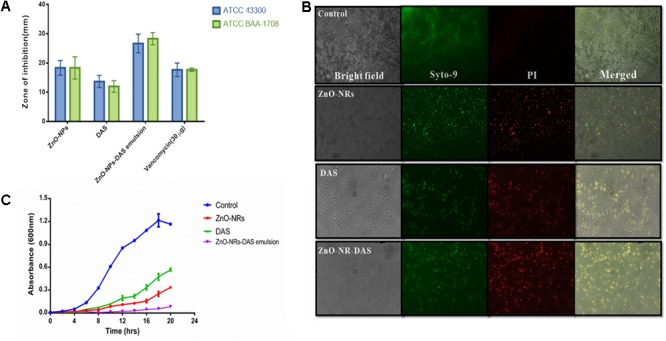 FIGURE 3