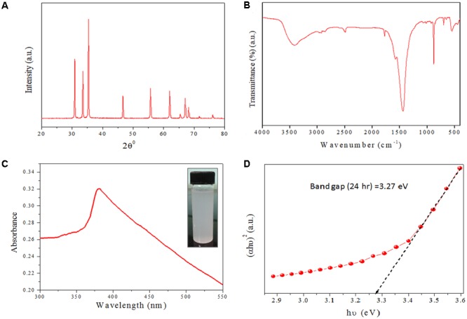 FIGURE 2