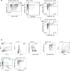 Figure 5—figure supplement 1.