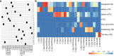 Figure 6—figure supplement 4.